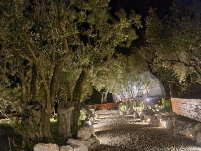 ELYSIA GLAMPING ASSOS